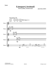 Lehto - Flock of Birds for Flute Ensemble - FC6910EM