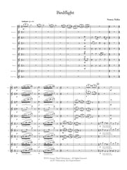 Telfer - Birdflight for Flute Choir - FC706NW