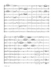 Telfer - Birdflight for Flute Choir - FC706NW