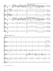 Taubner - Christmas Medley for Flute Choir - FC714NW