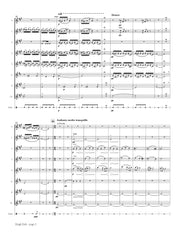 Delius (arr. Nourse) - Sleigh Ride (Winter Night) for Flute Choir - FC745NW