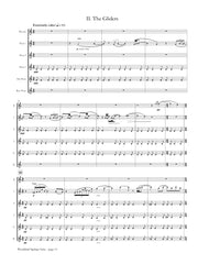 Blessinger - Woodland Springs Suite for Flute Choir - FC761NW