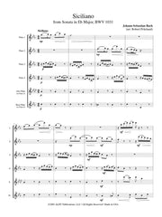 Bach - Siciliano from Sonata in E-flat Major, BWV 1031 - FC170