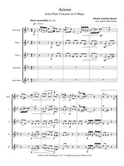 Quantz - Arioso from Flute Concerto in G major - FC252