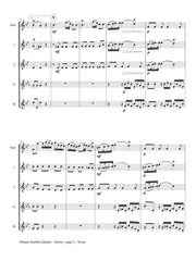 Quantz - Arioso from Flute Concerto in G major - FC252