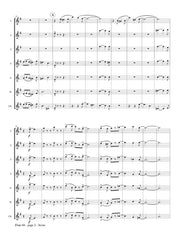 Cohen - Flute 66 - FC366