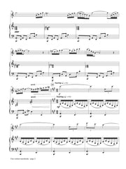 Register - Una Cortina Translucida for Flute and Piano - FP162