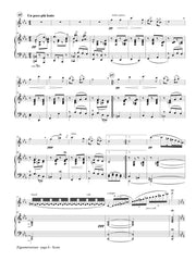 Sarasate - Zigeunerweisen (Flute and Piano) - FP854