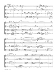 Somos - Passacaglia for Flute Quartet - FQ69NW