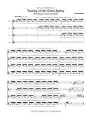 Rozman - Waking of the Green Spring for C Flute Quartet - FQ82