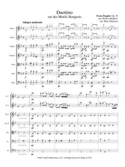 Doppler (arr. Johnston) - Duettino sur des Motifs Hongrois, Op. 36 - FS06