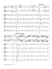 Doppler (arr. Johnston) - Duettino sur des Motifs Hongrois, Op. 36 - FS06