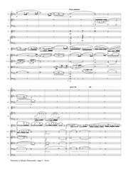 Gaubert (ed. Carey) - Nocturne et Allegro Scherzando (Solo Flute and Orchestra) - FS13