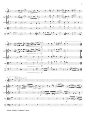 Telemann (ed. Nishimura) - Suite in A Minor (Solo Flute and Strings) - FS22