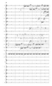 Rokeach - Concerto for Piccolo and Orchestra (Rental) - FS27