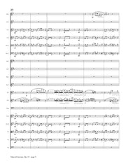 Doppler (arr. Lehto) - Valse di Bravura for Two Flutes and Orchestra - FS28