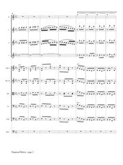 Strauss (arr. Johnston) - Perpetual Motion for Flutes and String Orchestra - FS30