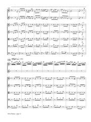 Magalif - Silva Fantasy for Two Flutes and String Orchestra - FS31