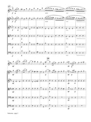 Andersen (arr. Johnston) - Scherzino, Op. 55, No. 6 (Solo Flute and Strings) - FS33