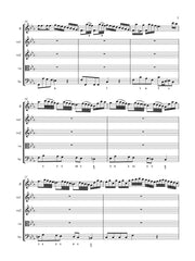 Buffardin (ed. Brabants) - Concerto in F Minor for Flute and Strings - FS39