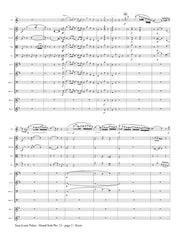 Tulou (ed. Johnston) - Grand Solo No. 13 (Solo Flute and Orchestra) - FS19