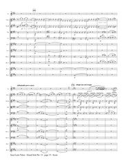 Tulou (ed. Johnston) - Grand Solo No. 13 (Solo Flute and Orchestra) - FS19