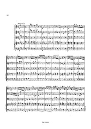 Krebs (arr. Van Puijenbroeck) - Concerto in F Major for Guitar and Orchestra - GOR14008AEM