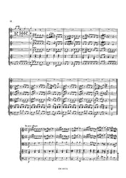 Fasch (arr. Van Puijenbroeck) - Concerto for Guitar and Orchestra - GOR14015AEM