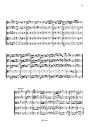 Pfeiffer (arr. Van Puijenbroeck) - Concerto for Guitar and Orchestra - GOR14019AEM