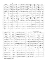 Strauss (arr. Ben-Meir) - Radetzky March (Flute Orchestra) - MEG022