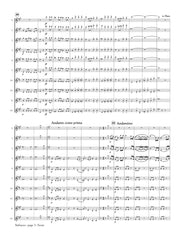 Verdi (arr. Ben-Meir) - Nabucco Overture (Flute Orchestra) - MEG024