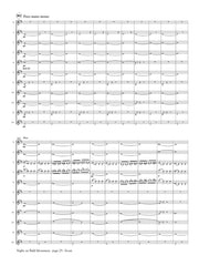 Mussorgsky (arr. Ben-Meir) - Night on Bald Mountain (Flute Orchestra) - MEG028