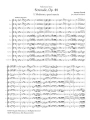 Dvorak (arr. Ben-Meir) - Selections from Serenade, Op. 44 (Flute Orchestra) - MEG030