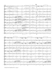 Dvorak (arr. Ben-Meir) - Furiant from Symphony No. 6 (Flute Orchestra) - MEG031