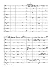 Rossini (arr. Ben-Meir) - Il Signor Bruschino Overture (Flute Orchestra) - MEG033
