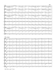Sibelius (arr. Ben-Meir) - Valse Triste (Flute Orchestra) - MEG034