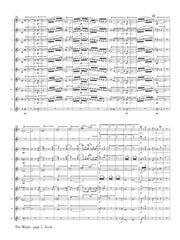 Vaughan Williams (arr. Ben-Meir) - The Wasps Overture (Flute Orchestra) - MEG036