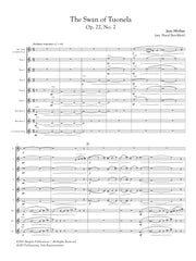 Sibelius (arr. Ben-Meir) - The Swan of Tuonela (Flute Orchestra) - MEG037