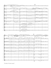 Sibelius (arr. Ben-Meir) - The Swan of Tuonela (Flute Orchestra) - MEG037