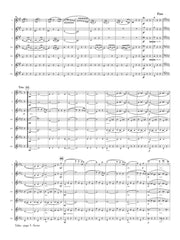 Dvorak (arr. Ben-Meir) - Valse from 'Serenade for Strings' (Flute Orchestra) - MEG049