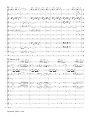 Saint-Saens (arr. Ben-Meir) - Bacchanale from 'Samson and Delilah' (Flute Orchestra) - MEG050