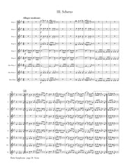 Gounod (arr. Stoner) - Petite Symphonie (Flute Orchestra) - MEG055