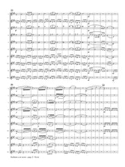 Schubert (arr. Ben-Meir) - Andante con moto from Symphony No. 8 (Flute Orchestra) - MEG066