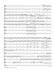 Schubert (arr. Ben-Meir) - Andante con moto from Symphony No. 8 (Flute Orchestra) - MEG066