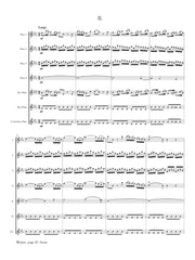 Vivaldi (arr. Ben-Meir) - Winter from 'The Four Seasons' (Flute Orchestra) - MEG070