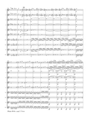 Mozart (arr. Ben-Meir) - Allegro Molto from Symphony No. 40 (Flute Orchestra) - MEG071
