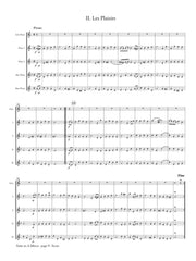 Telemann (arr. Ben-Meir) - Suite in A Minor (Flute Orchestra) - MEG072