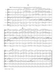 Vivaldi (arr. Ben-Meir) - Autumn from 'The Four Seasons' (Flute Orchestra) - MEG074