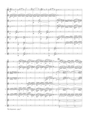 Mozart (arr. Ben-Meir) - The Impresario Overture, K. 468 (Flute Orchestra) - MEG076
