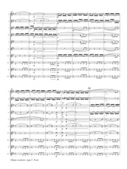 Schubert (arr. Ben-Meir) - Allegro moderato from Symphony No. 8 (Flute Orchestra) - MEG091